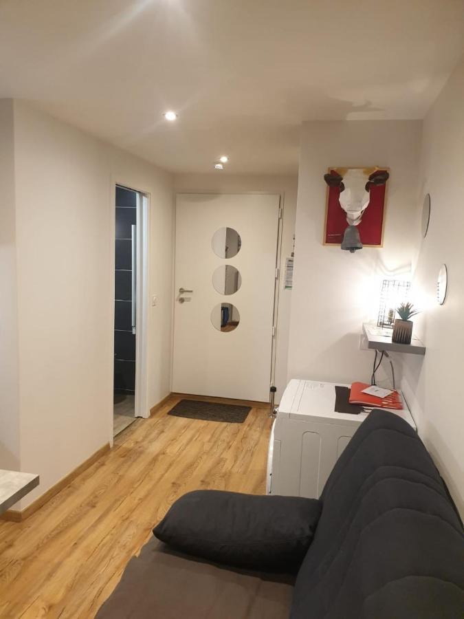 Le 67,Ski Et Randonnee,Lave Linge,Seche Linge,Parking 베르넥스 외부 사진